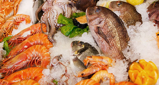 Fishing for seafood fraud report of questionable value