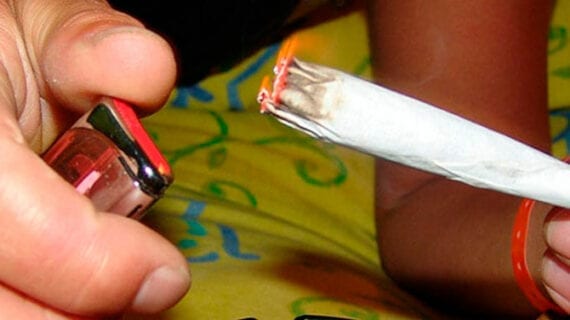 Cannabis Governments taking cautious approach to cannabis marketing