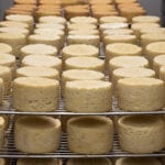 cheese factory food dairy