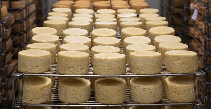 cheese factory food dairy Canada’s food security depends on significant policy shifts