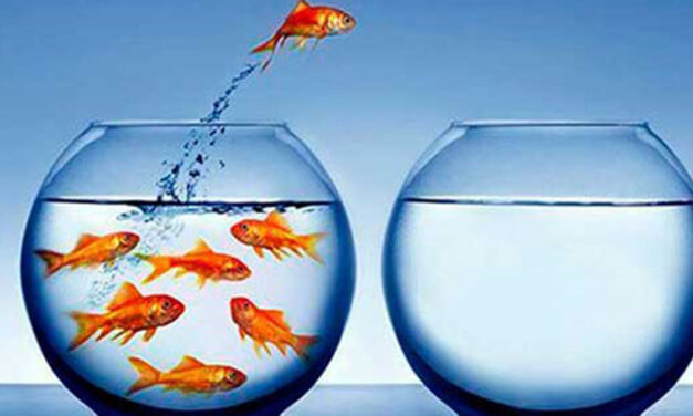 If you don’t stand out, you won’t get hired