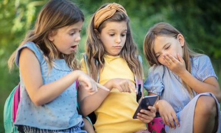 Stop pretending Ottawa’s social media ban will actually work